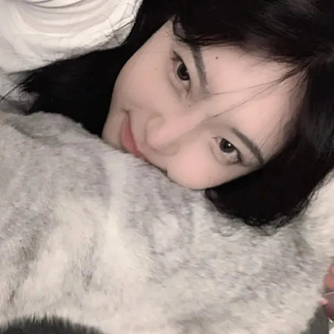 023档案